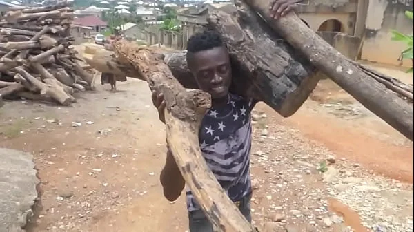 wood pile